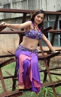 Sheela Spicy Pics